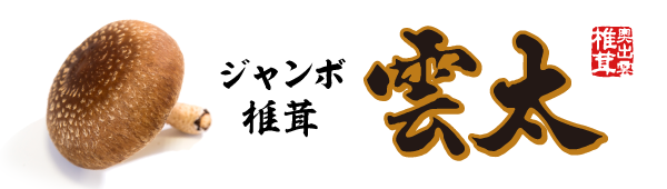 奥出雲椎茸 ジャンボ椎茸雲太